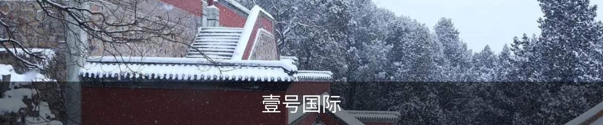 壹号国际